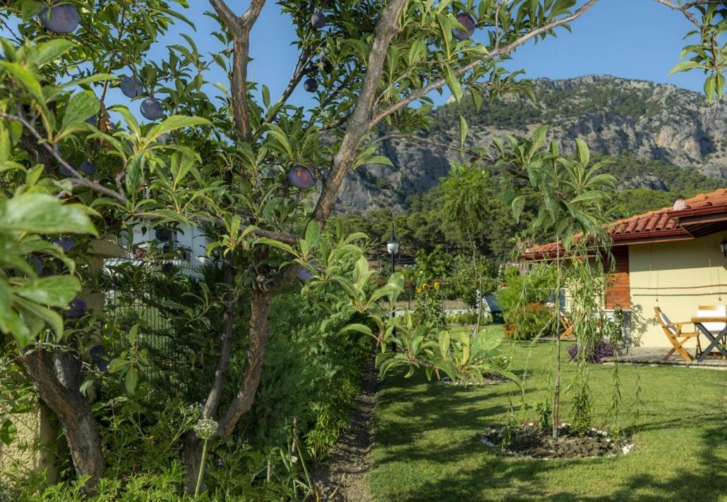 Sandal Hotel Göcek Dış mekan fotoğraf